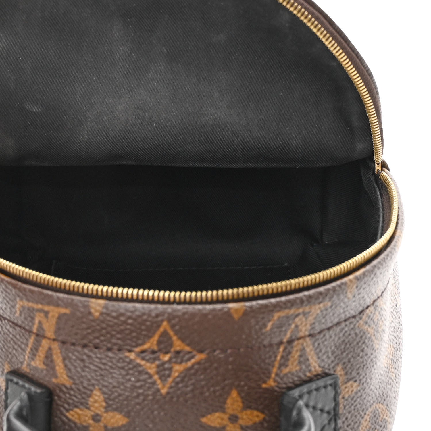 Louis Vuitton Monogram Palm Springs Backpack Mini 4 of 13