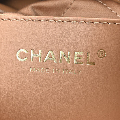 Chanel Shiny Calfskin Quilted Mini Chanel 22 Dark Beige 6 of 10