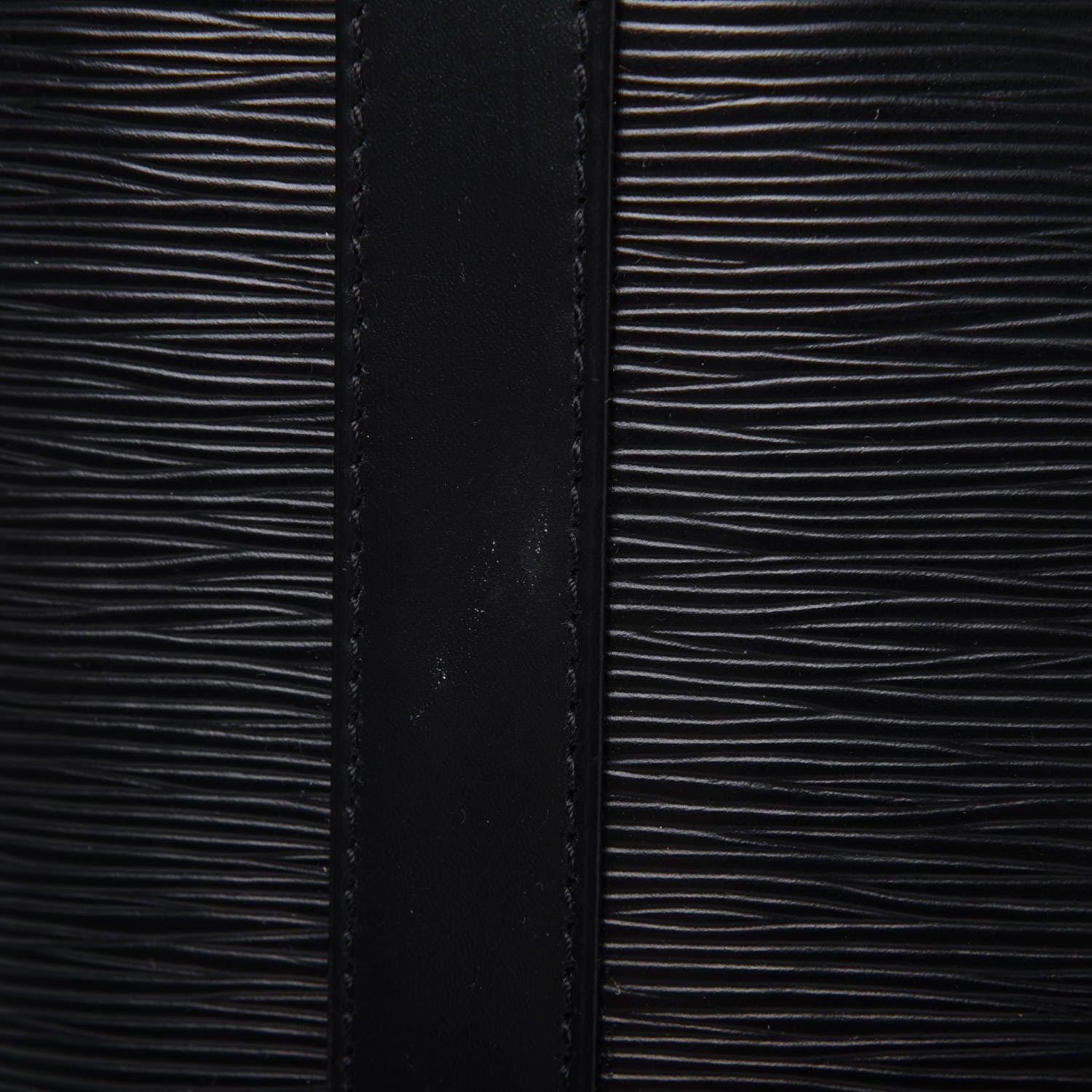 Louis Vuitton Epi Randonnee GM Black 14 of 23