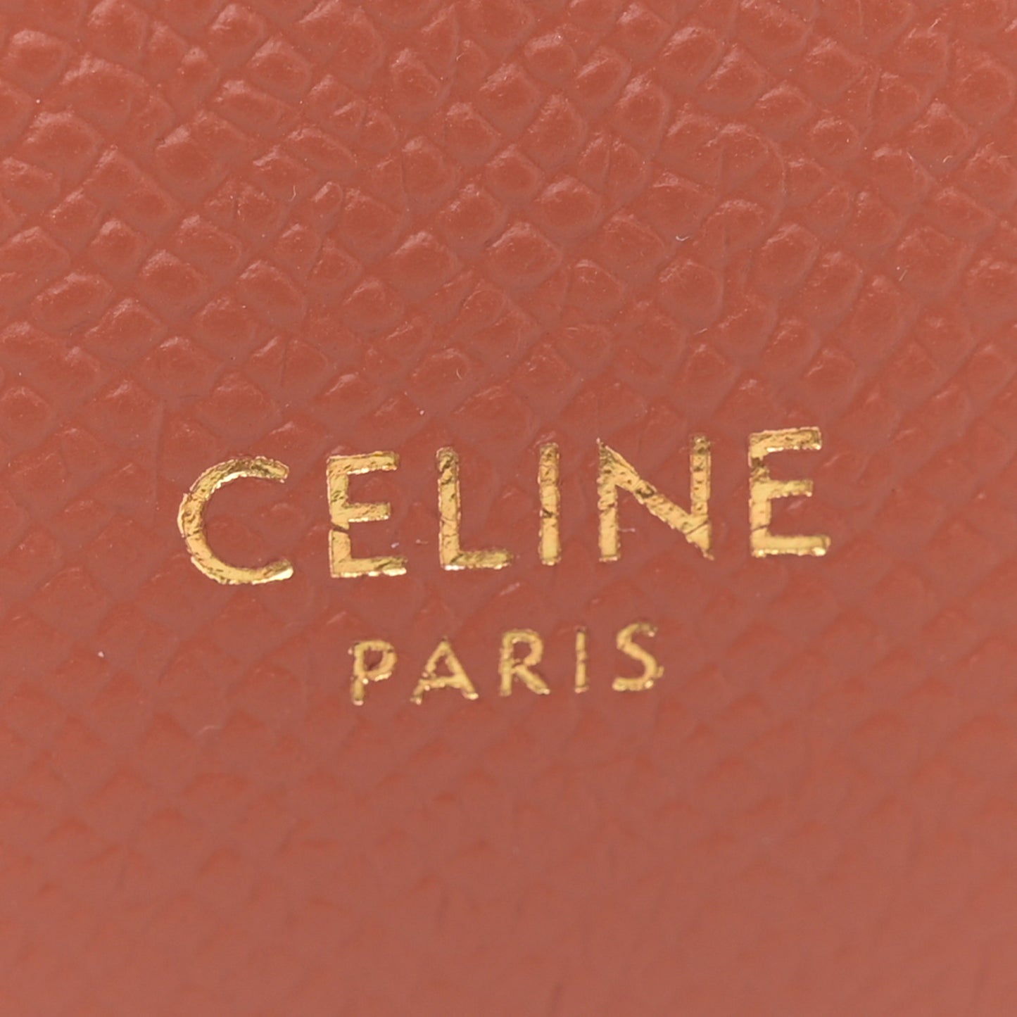 Grained Calfskin Nano Belt Bag Terracotta