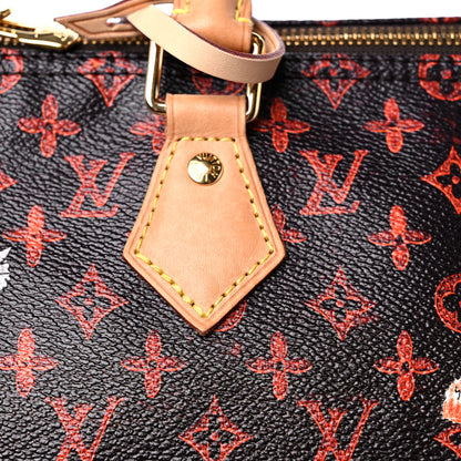 Louis Vuitton Catogram Speedy Bandouliere 30 Marron 16 of 20