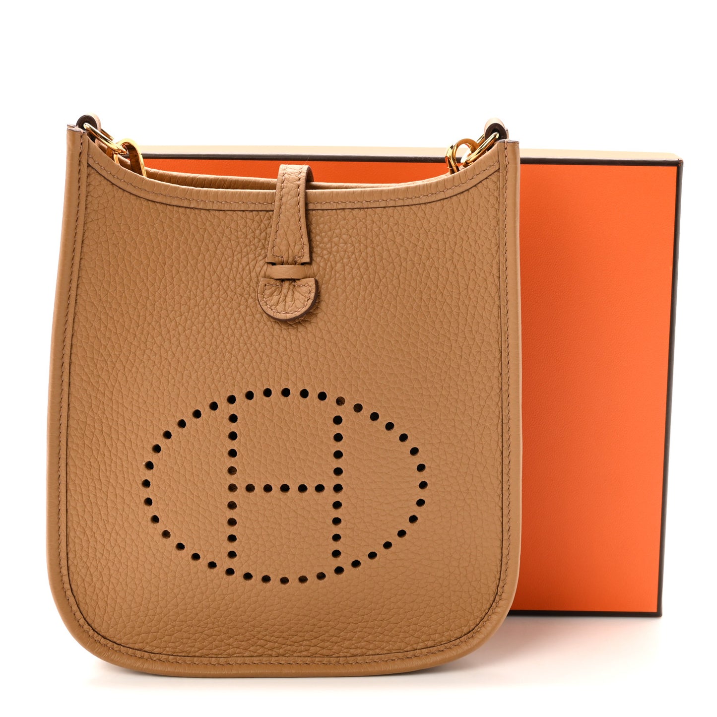 Taurillon Clemence Evelyne TPM Biscuit