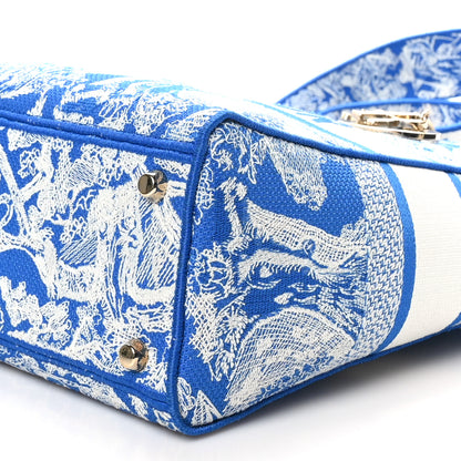 Christian Dior Toile de Jouy Embroidered Large Lady D-Lite Fluorescent Blue 10 of 11