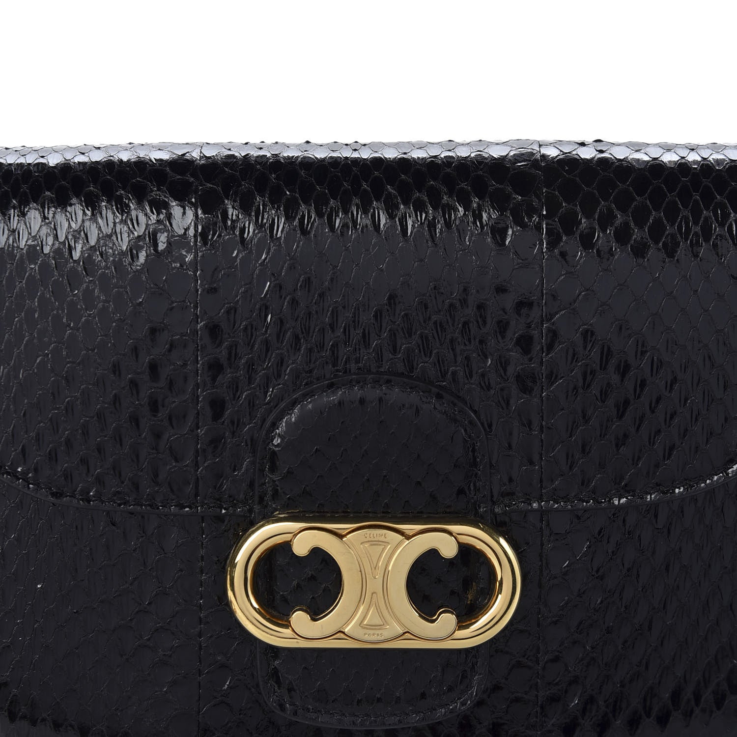 Celine Snakeskin Medium Chain Maillon Triomphe Black 9 of 9