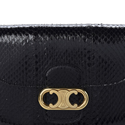 Celine Snakeskin Medium Chain Maillon Triomphe Black 9 of 9