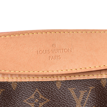 Louis Vuitton Monogram Delightful MM 9 of 11