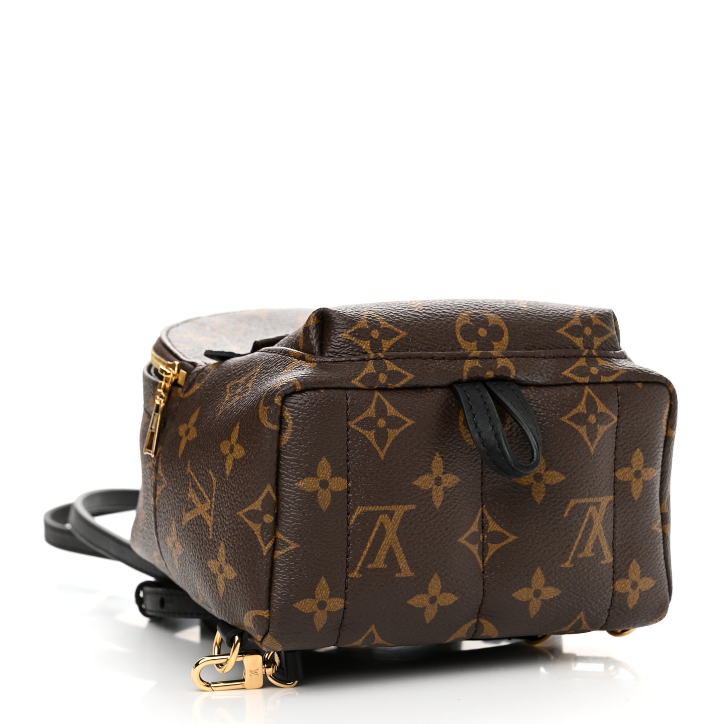 Monogram Palm Springs Backpack Mini
