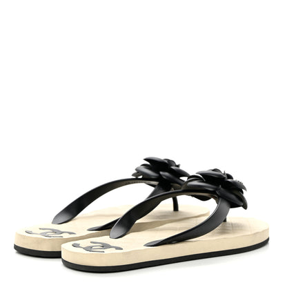 Chanel PVC Camellia Thong Sandals 37 Black 4 of 10
