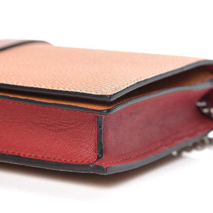 Loewe Grained Calfskin Chain Wallet Caramel Pecan 10 of 10
