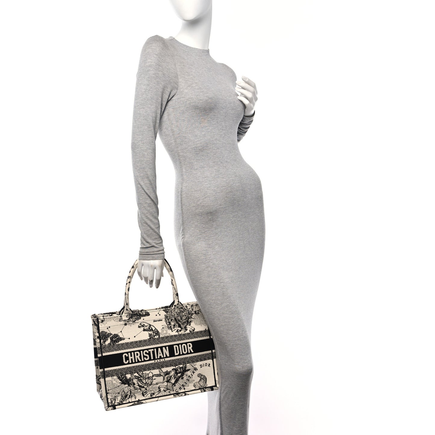 Canvas Zodiac Toile De Jouy Embroidered Medium Book Tote Latte