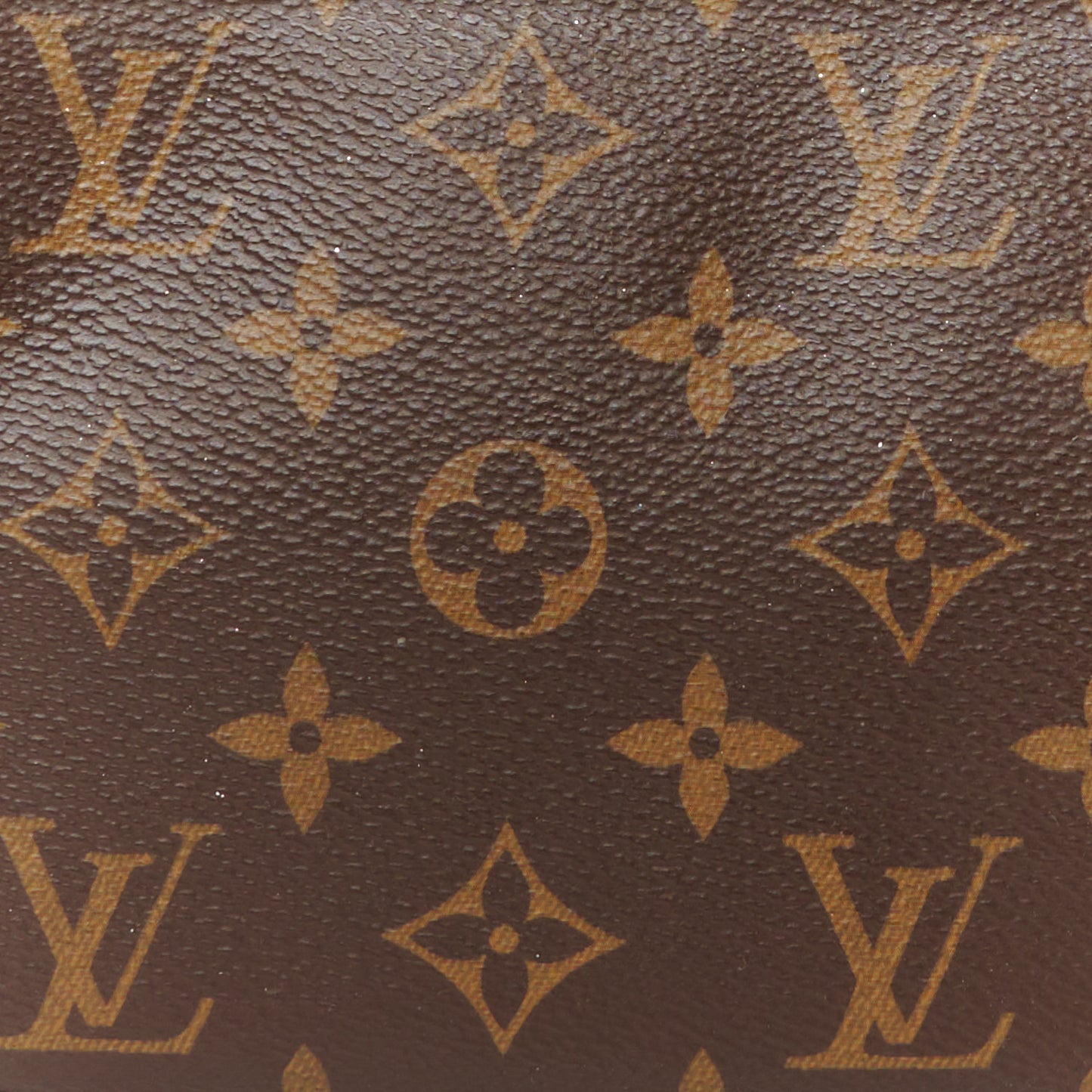 Monogram Pochette Accessories NM