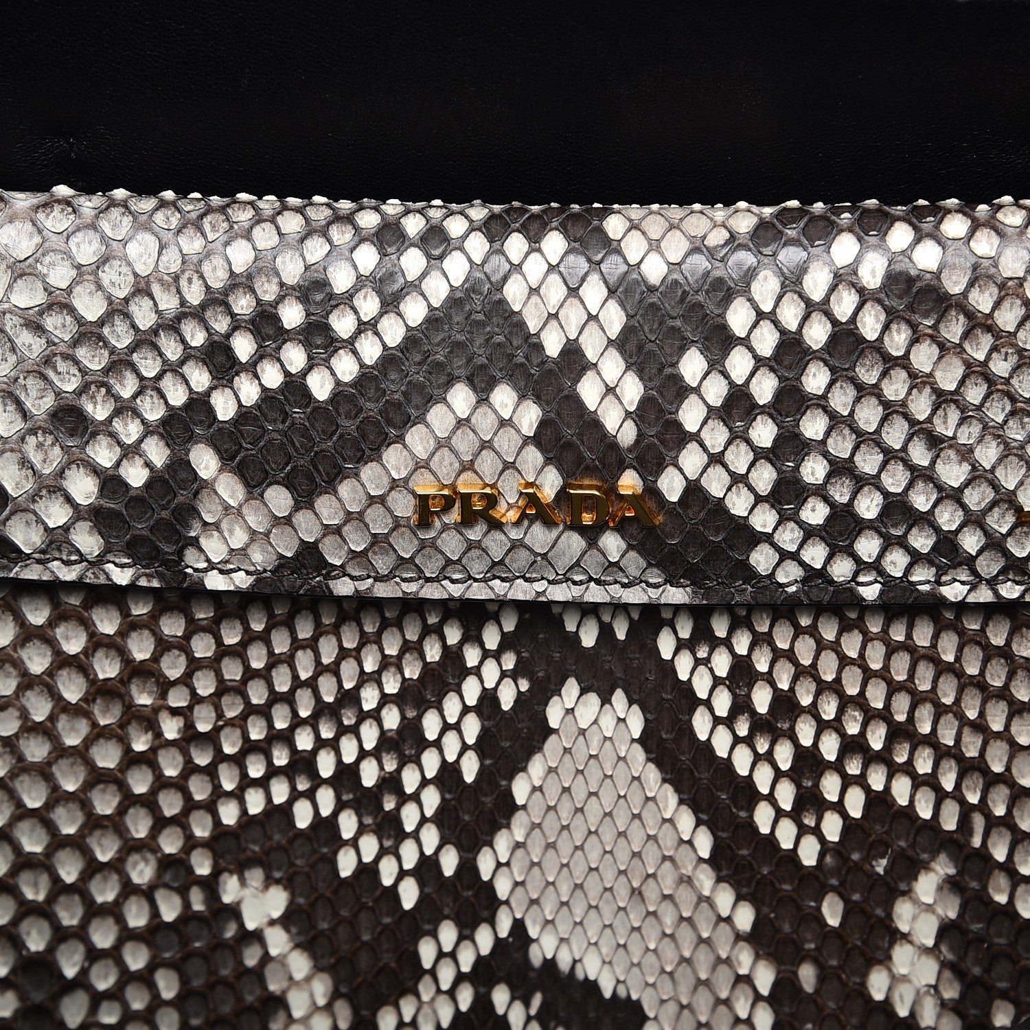 Prada Python Large Double Bag Roccia 7 of 13