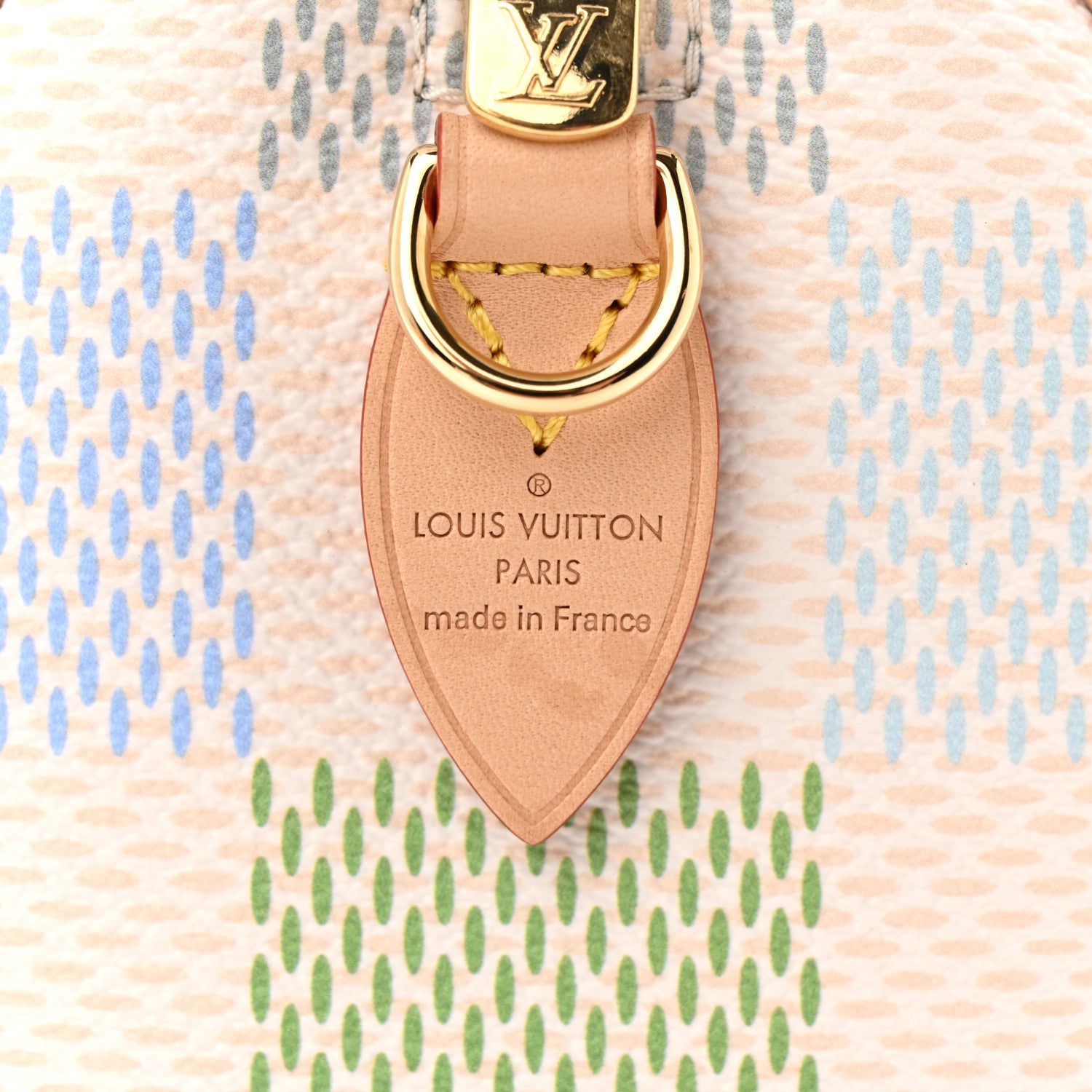 Louis Vuitton Damier Giant Speedy Bandouliere 20 Pistachio 1887105