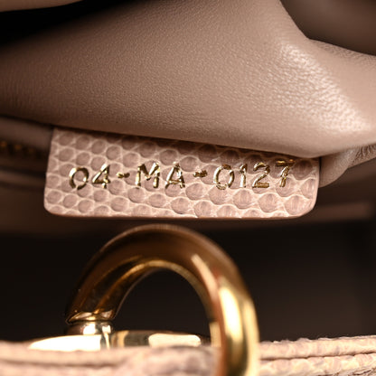 Christian Dior Lizard Mini Lady Dior Beige 8 of 10