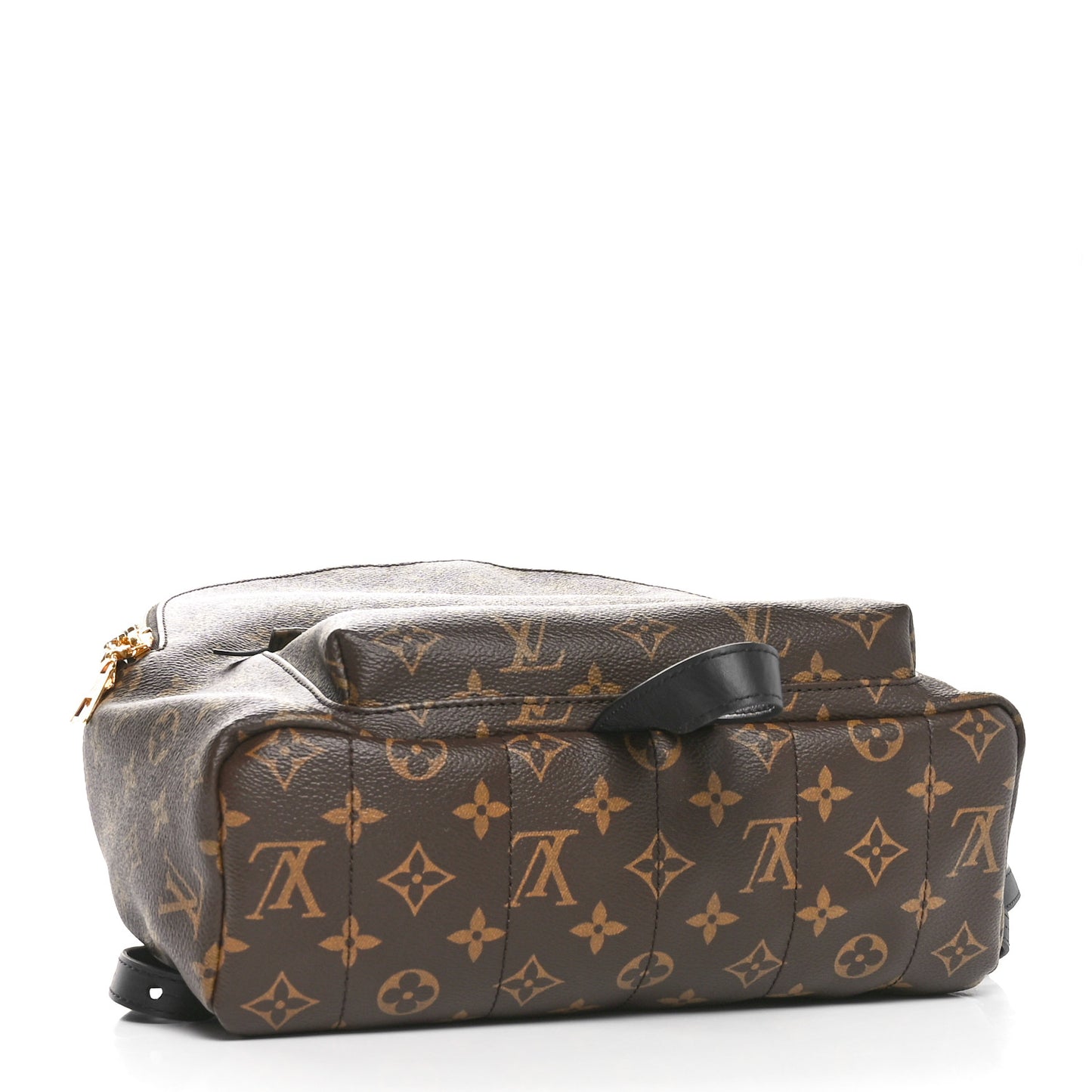 Monogram Palm Springs Backpack MM
