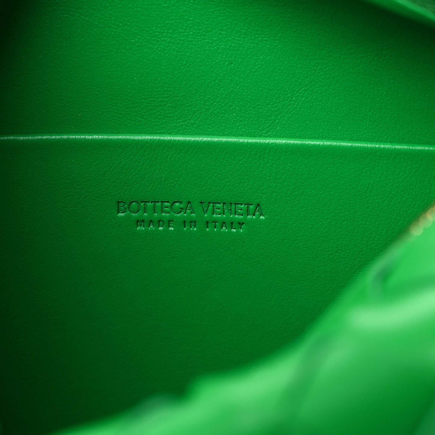Nappa Intrecciato Mini Loop Camera Bag Parakeet