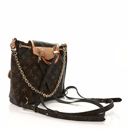 Louis Vuitton Monogram Excursion PM Backpack 3 of 9