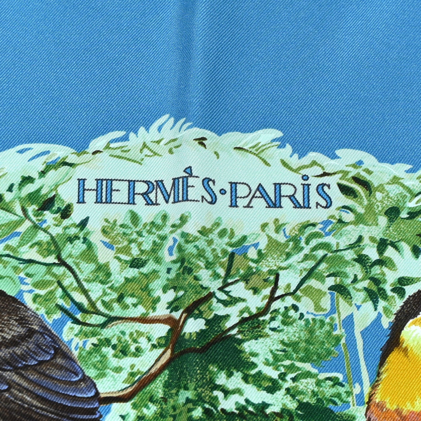 Silk Equateur Scarf 90 Black Vert