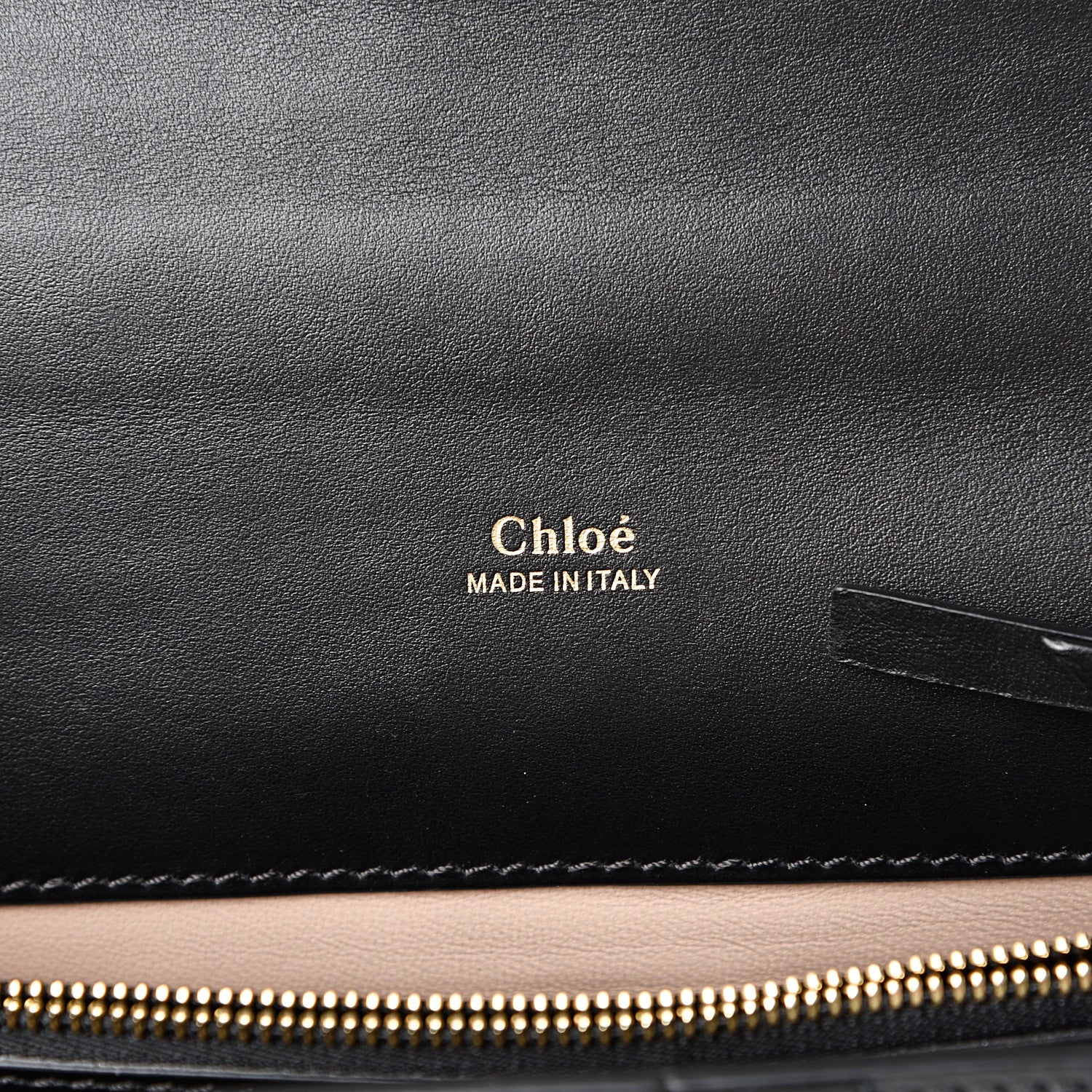 Chloe Shiny Goatskin Calfskin Aby Chain Shoulder Bag Black 5 of 12