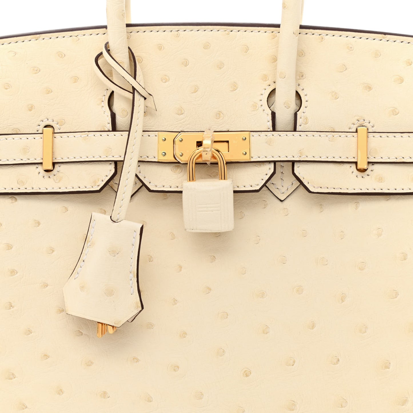 Ostrich Birkin 25 Nata