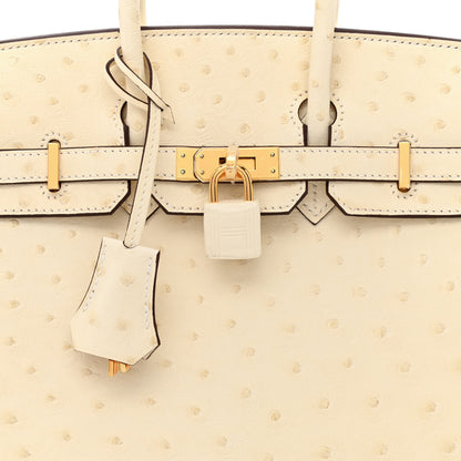 Hermes Ostrich Birkin 25 Nata 8 of 11