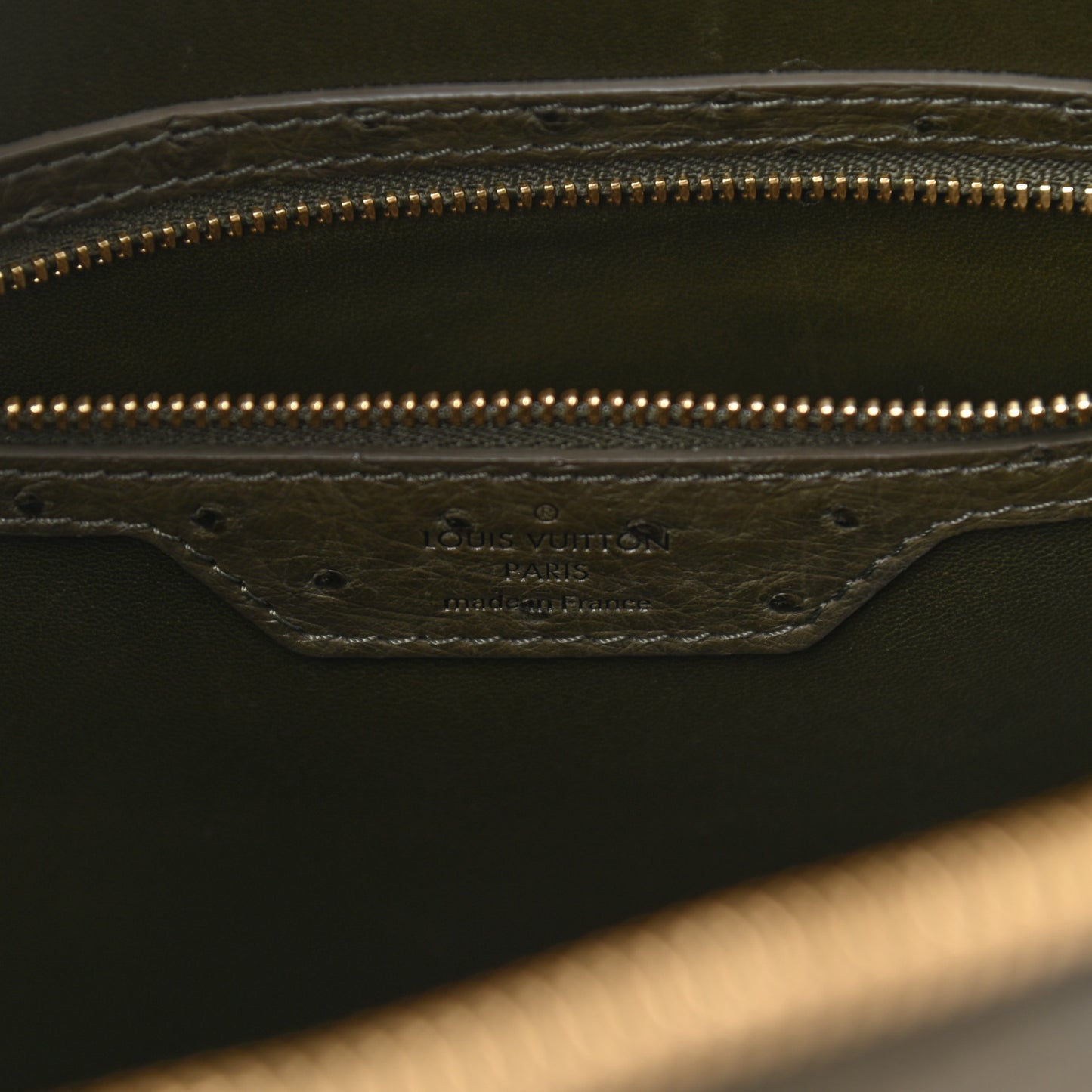 Ostrich Alma GM Olive