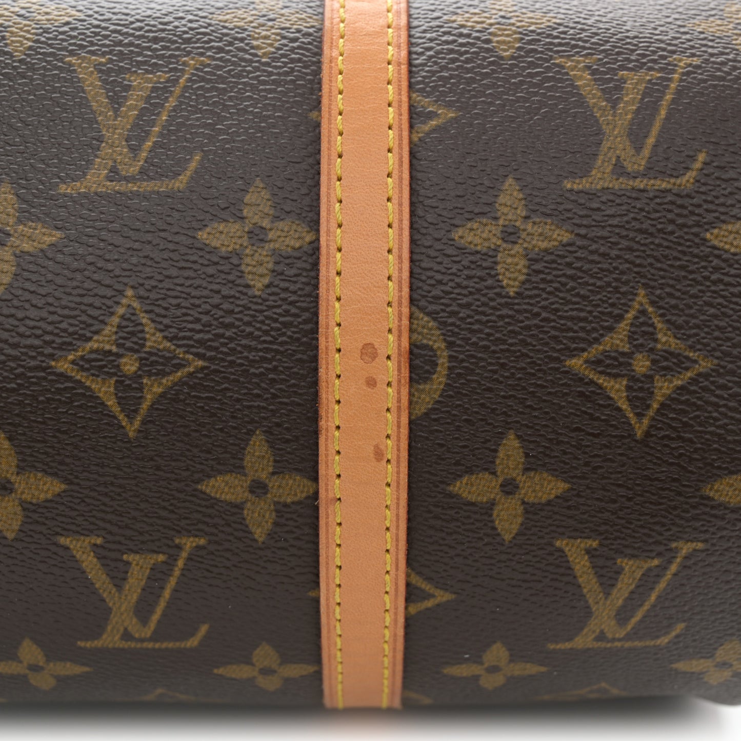 Monogram Papillon 30 with Companion