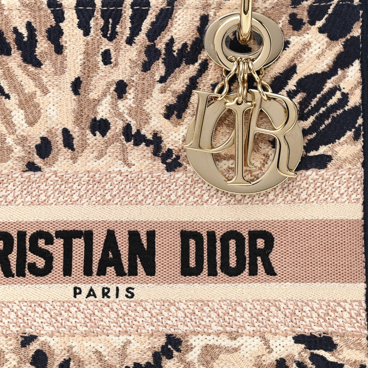 Christian Dior Canvas Embroidered Medium Tie And Dior Lady D-Light 8 of 14
