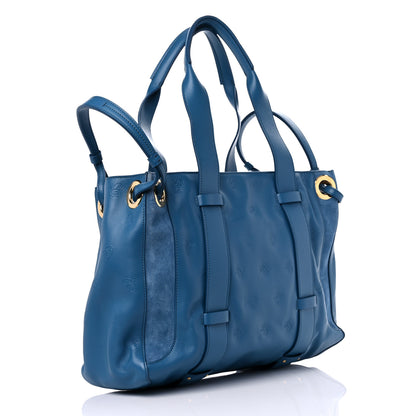 Chloe Smooth Calfskin Rose Embroidered Tao Zipped Tote Blue 3 of 15