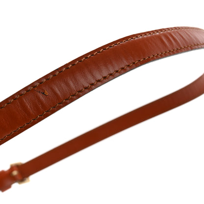 Louis Vuitton Epi Saint Cloud PM Kenyan Fawn 14 of 17