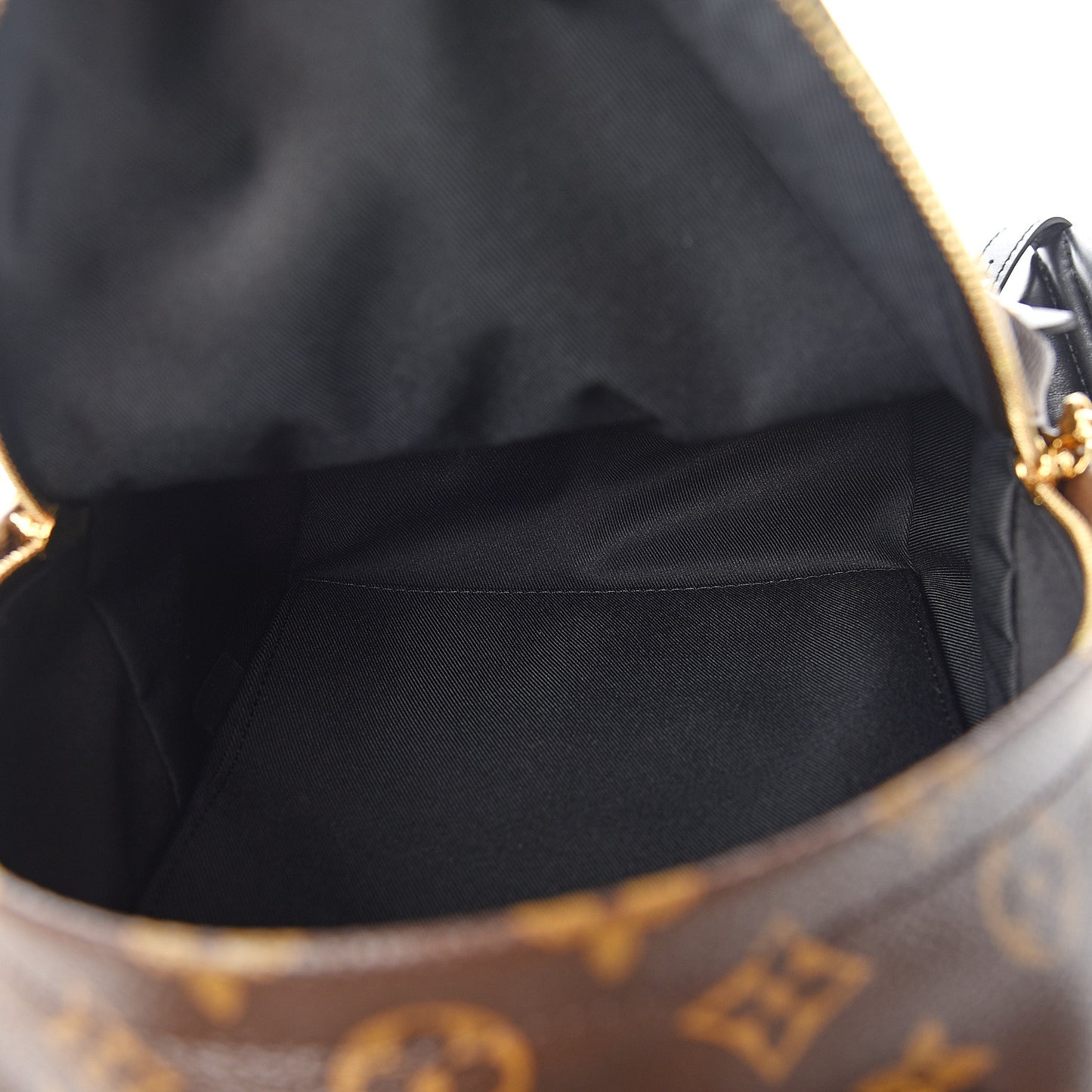 Reverse Monogram Palm Springs Backpack PM