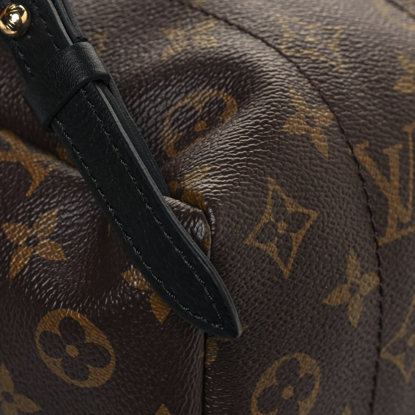 Monogram Palm Springs Backpack PM
