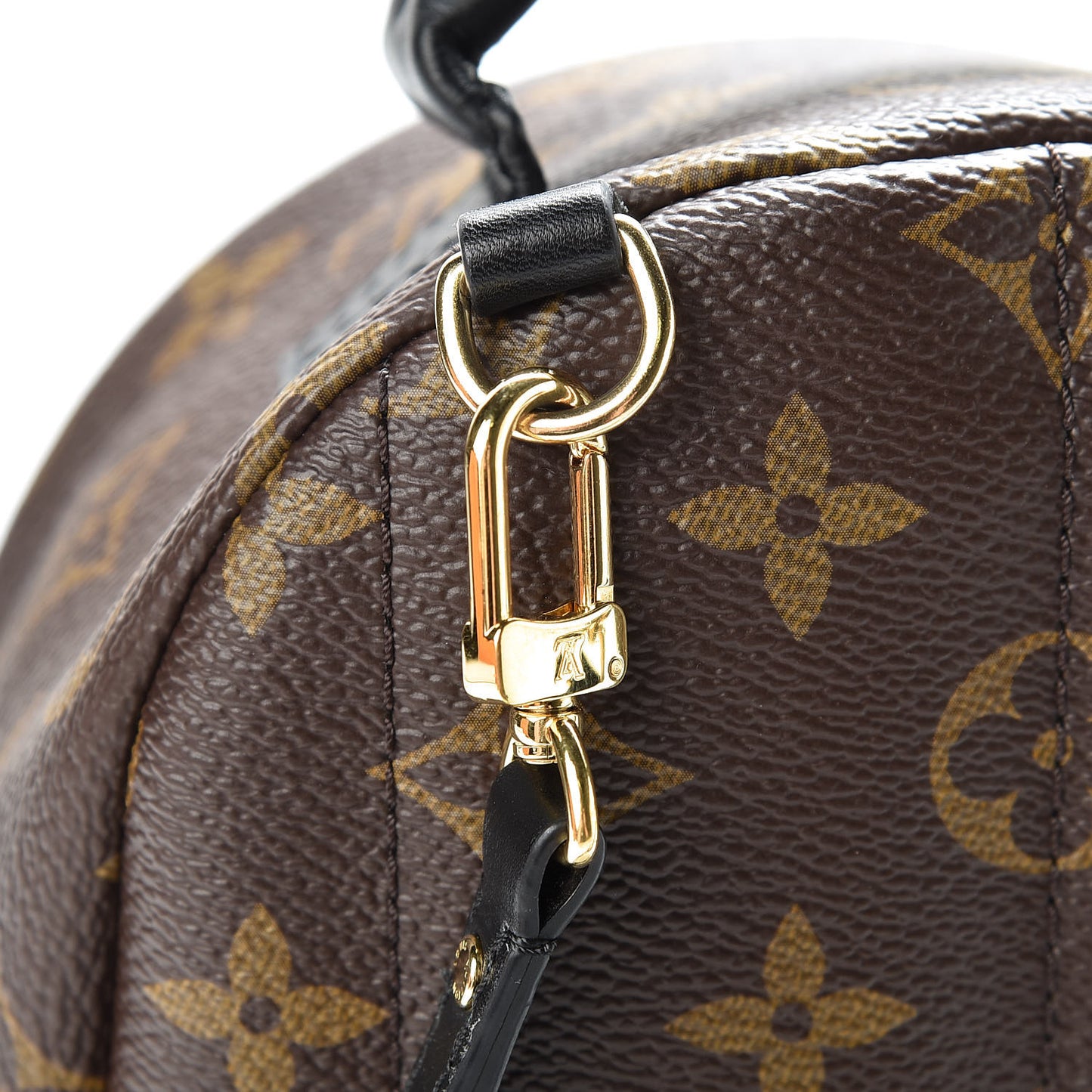 Monogram Palm Springs Backpack Mini
