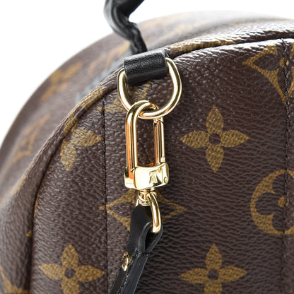 Louis Vuitton Monogram Palm Springs Backpack Mini 14 of 16