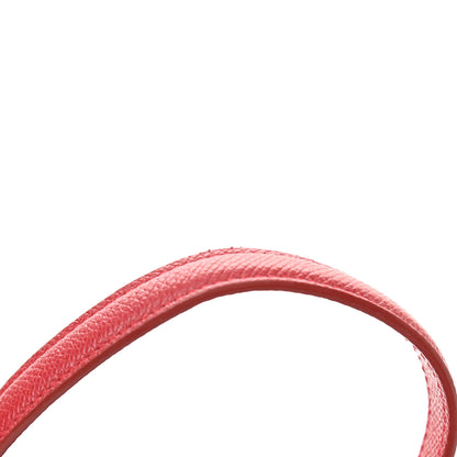 Celine Grained Calfskin Nano Belt Bag Coquelicot 14 of 14