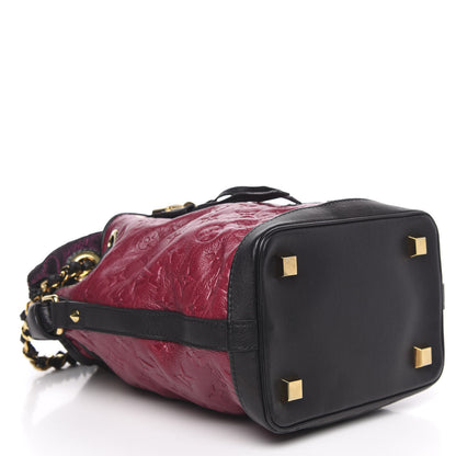 Louis Vuitton Monogram Double Jeu Neo Noe Cranberry 4 of 13