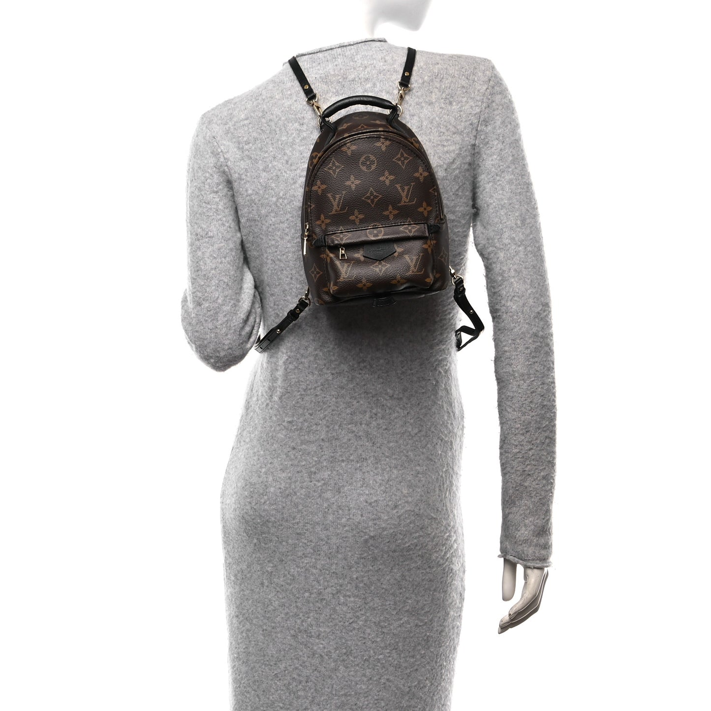 Monogram Palm Springs Backpack Mini