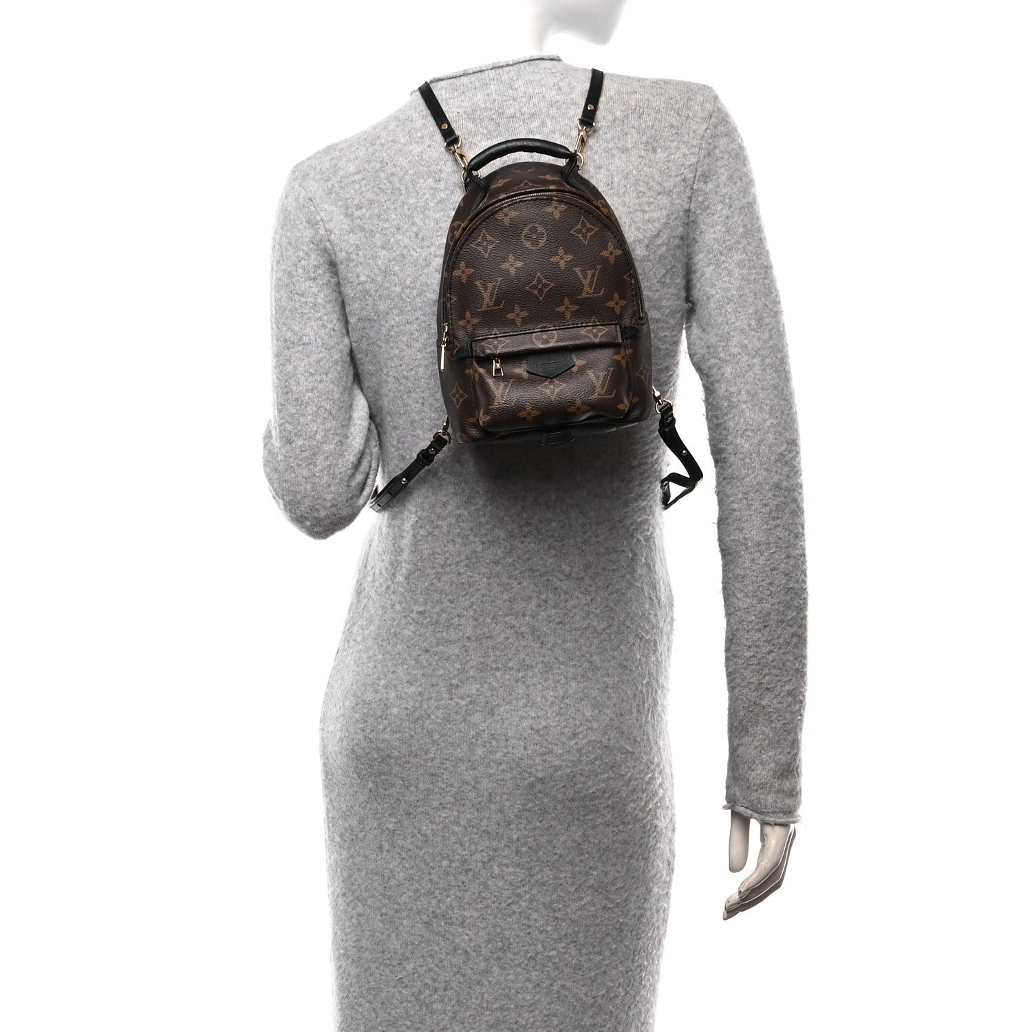 Louis Vuitton Monogram Palm Springs Backpack Mini 2 of 10