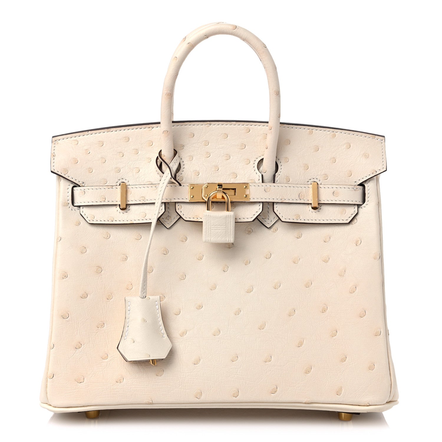 Hermes Ostrich Birkin 25 Nata 1 of 9