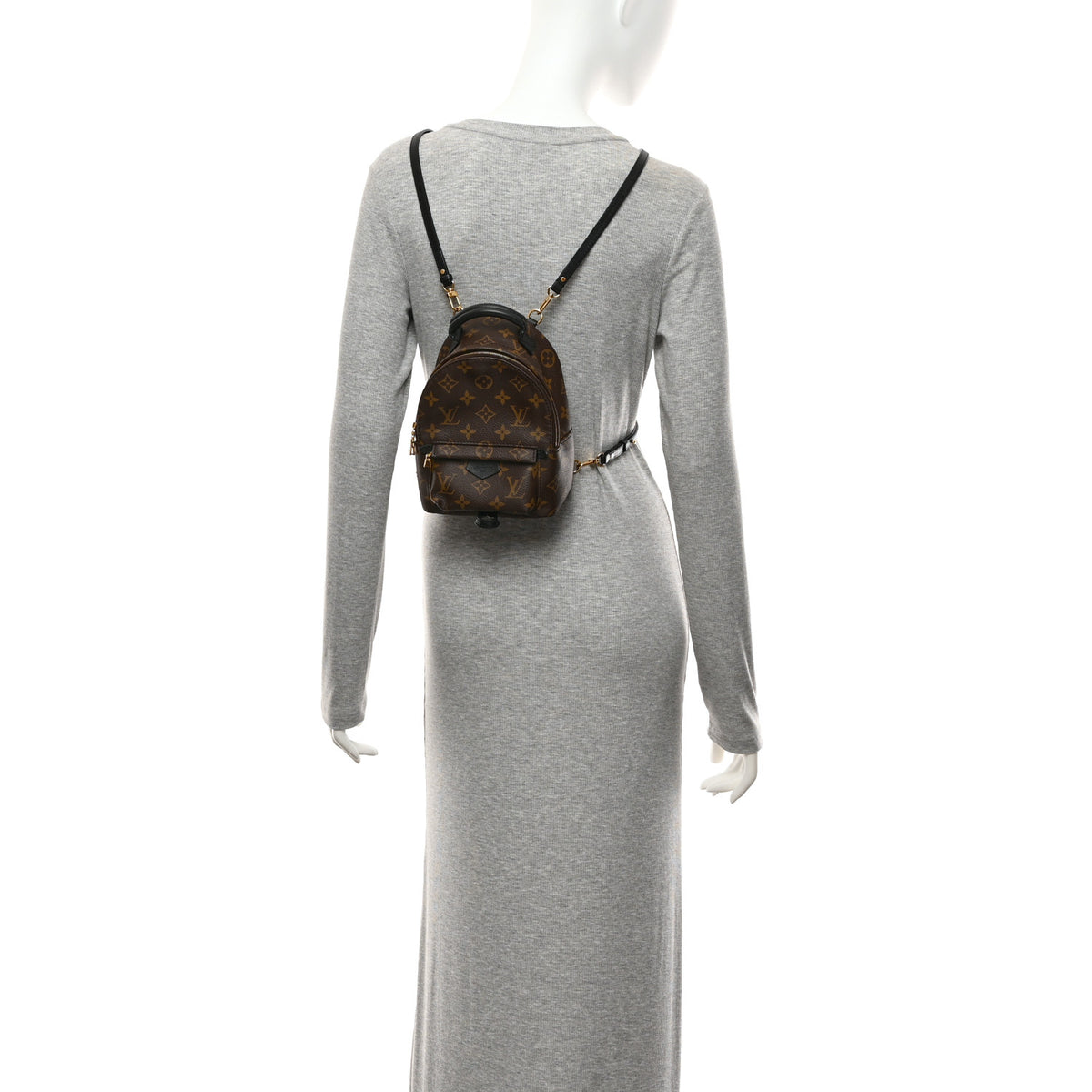 Monogram Palm Springs Backpack Mini