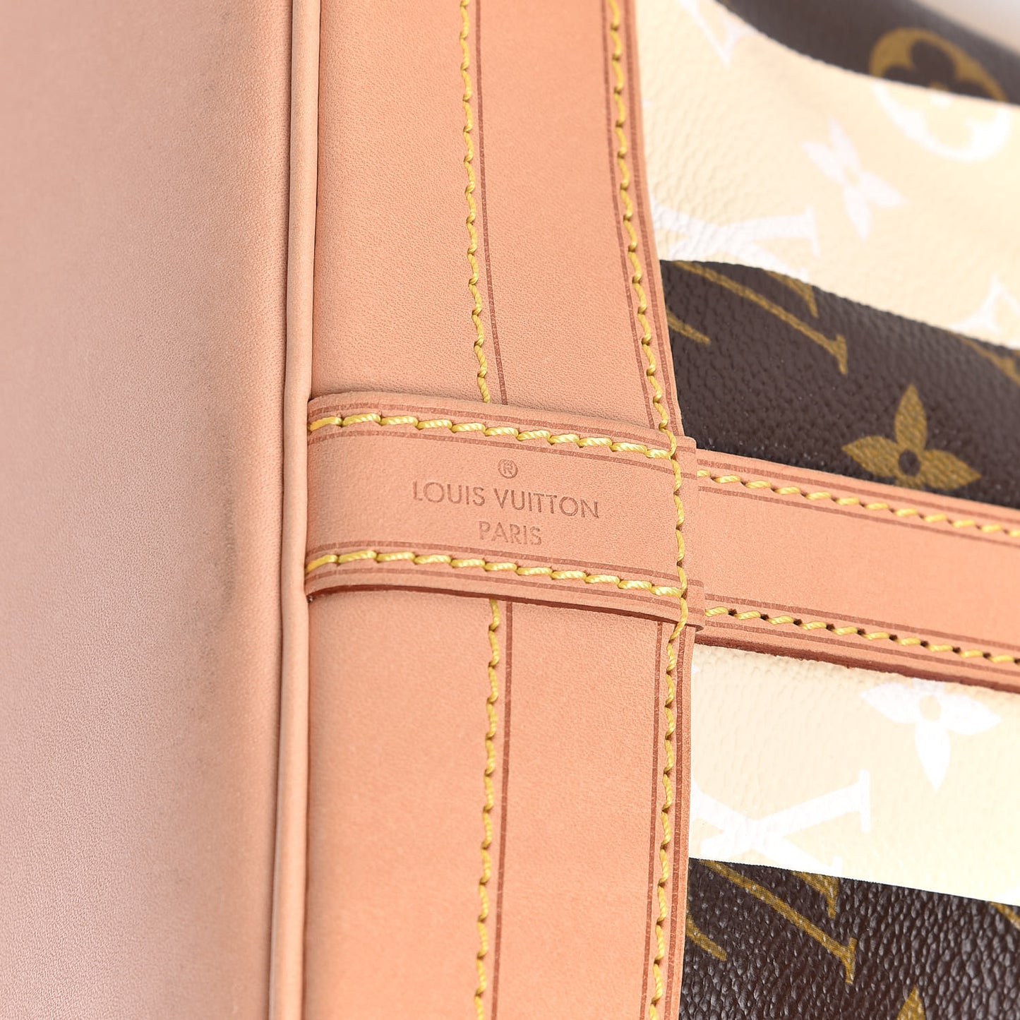 Monogram Rayures Noe