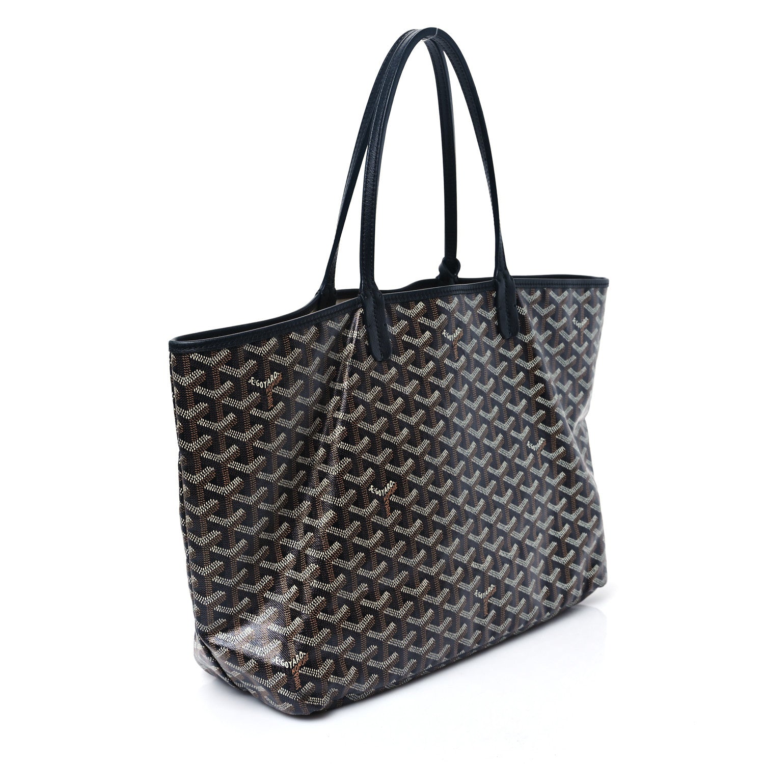 Goyard Goyardine Saint Louis PM Black 4 of 14