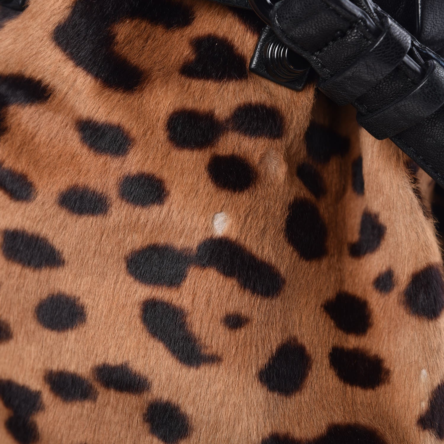 Alexander Wang Pebbled Lambskin Pony Hair Leopard Diego Bucket Bag Black Hardware 16 of 23