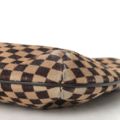 Louis Vuitton Calf Hair Damier Sauvage Tigre 9 of 14
