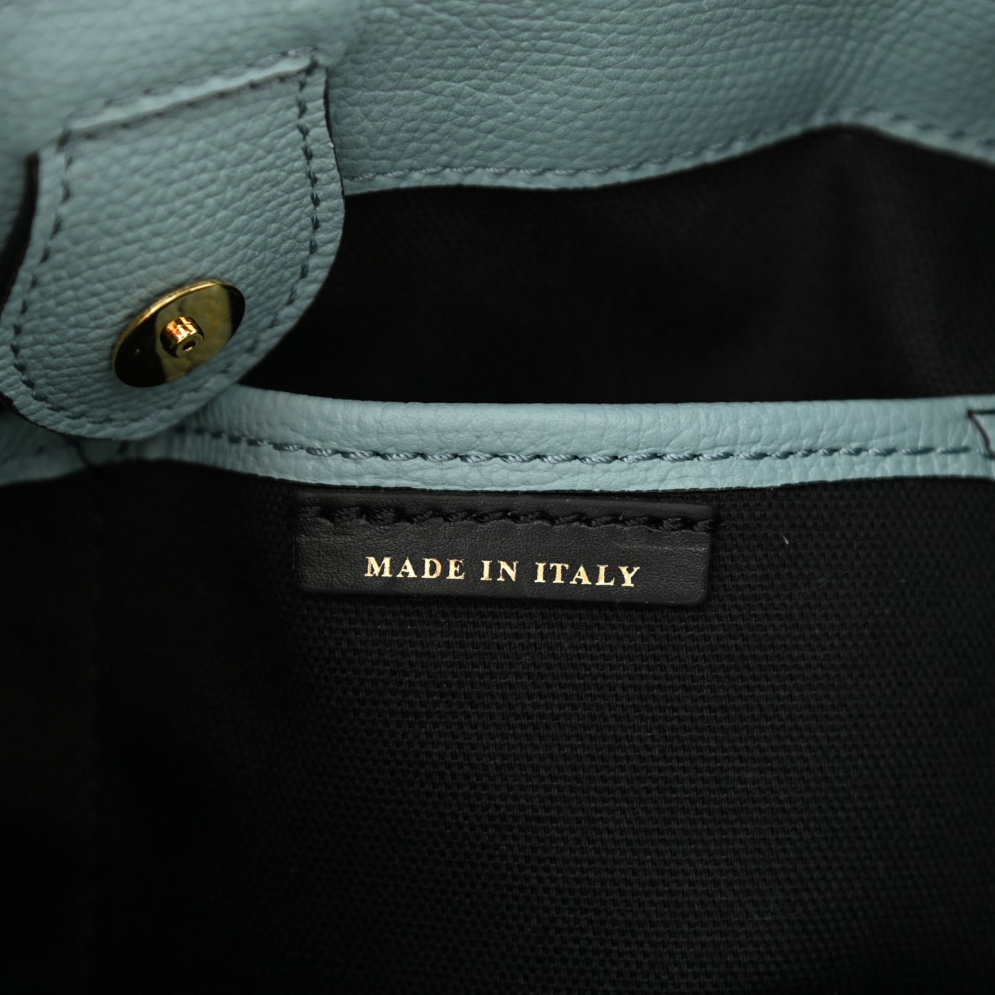 Derby Calfskin Watersnake Beasts Fish Small Banner Tote Pale Opal