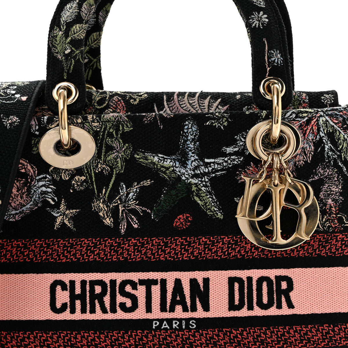 Christian Dior Canvas Cabinet De Curiosites Embroidered Medium Lady D-Lite Black Multicolor 8 of 12