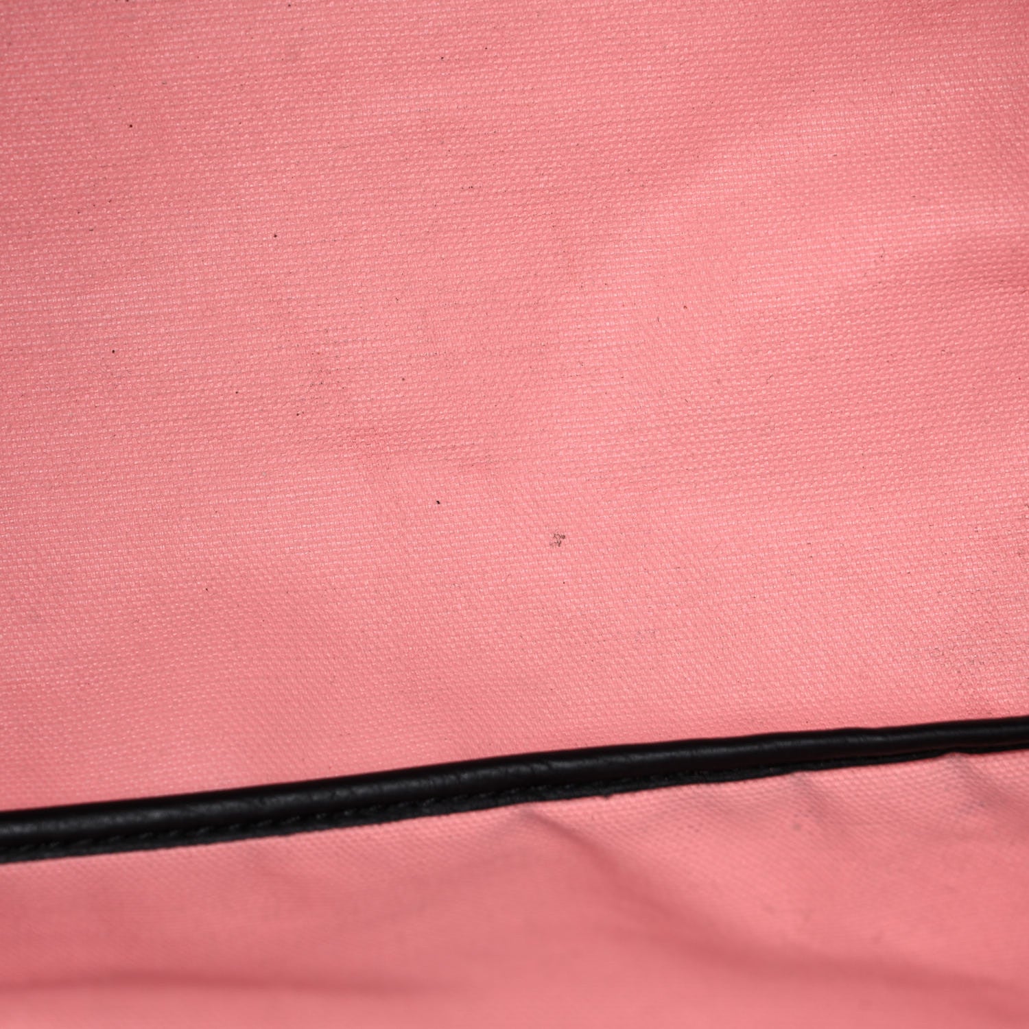 Goyard Goyardine Saint Louis Claire Voie PM Black Pink 12 of 20