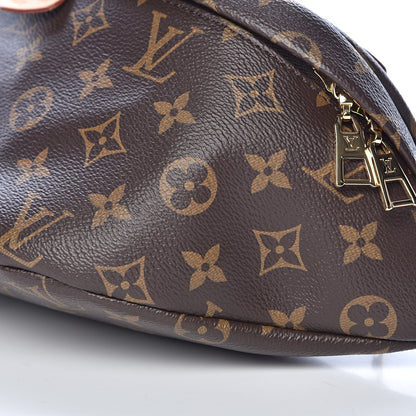 Louis Vuitton Monogram Bumbag 8 of 9