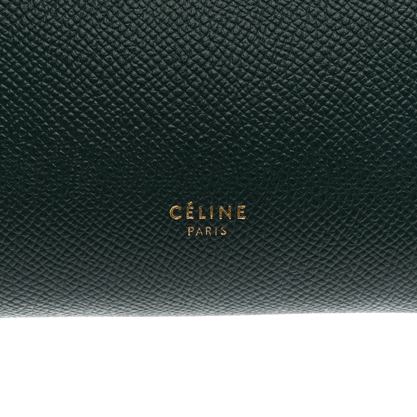 Grained Calfskin Micro Belt Bag Amazone
