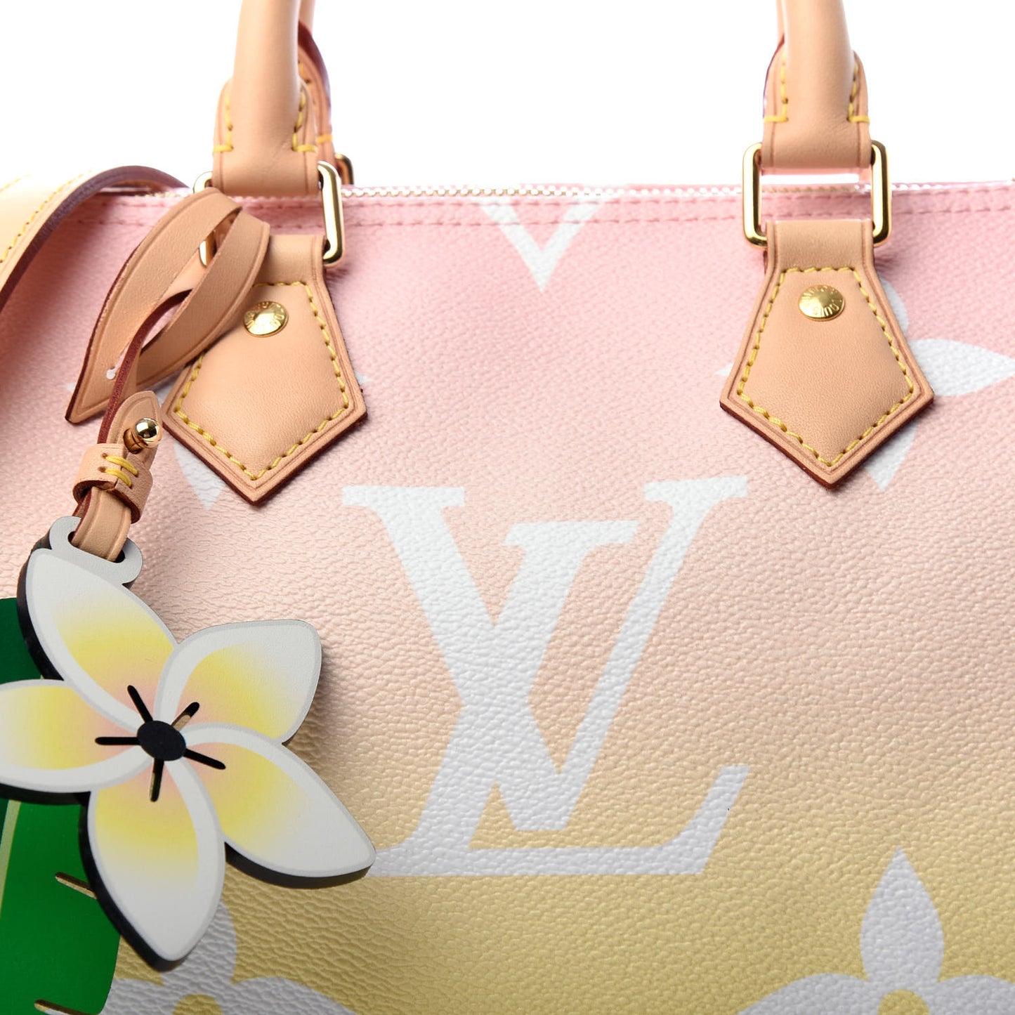 Monogram Giant By The Pool Speedy Bandouliere 25 Light Pink